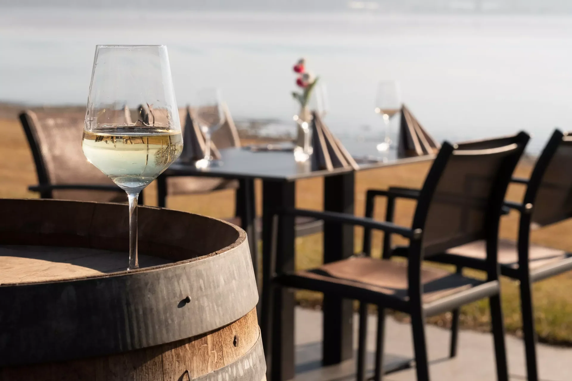 Signature-Gerichte im STEG 11